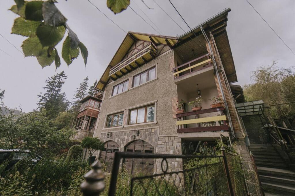 סינאיה Predoi'S Place מראה חיצוני תמונה